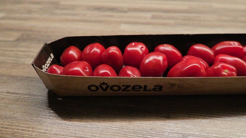 ovozela